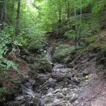 Wanderung nach St. Wolfgang