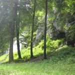 Wanderung nach St. Wolfgang